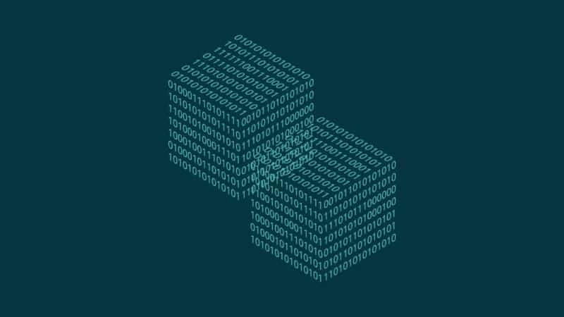 白云区信创改造：网络应用开发流程标准化的核心路径与实践
